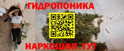 хмурый Берёзовский